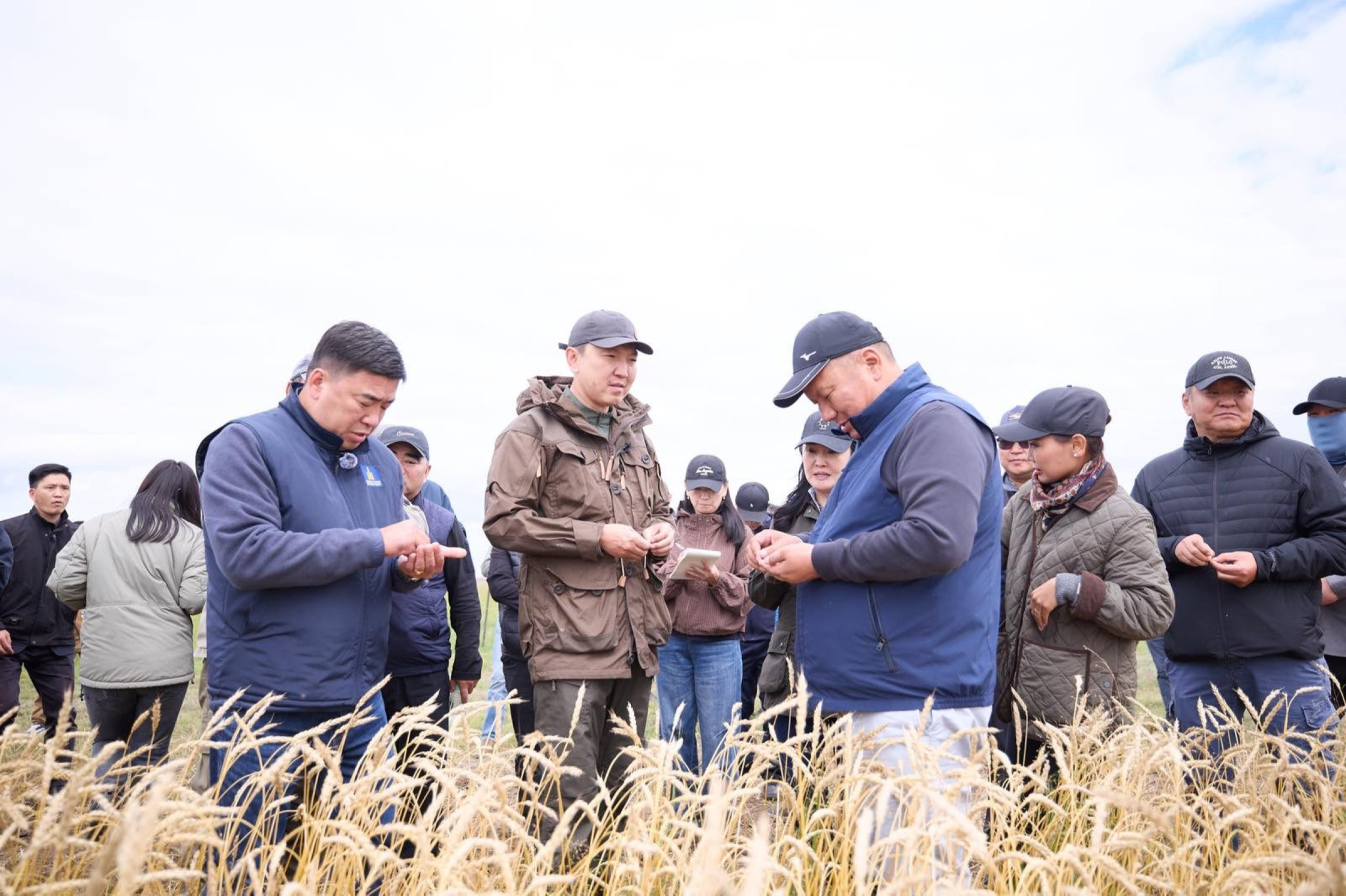 Stronger harvest forecasted
